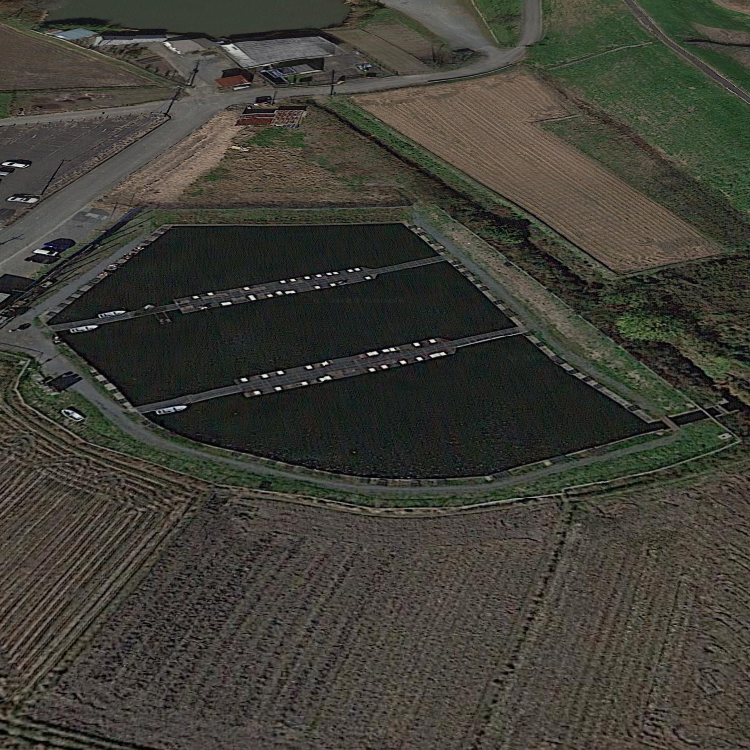 鳥羽井沼へら鮒釣場