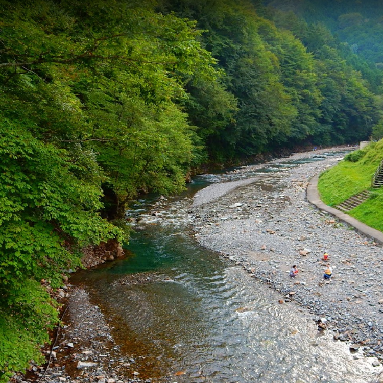 奥秩父源流 中津川渓流釣り場