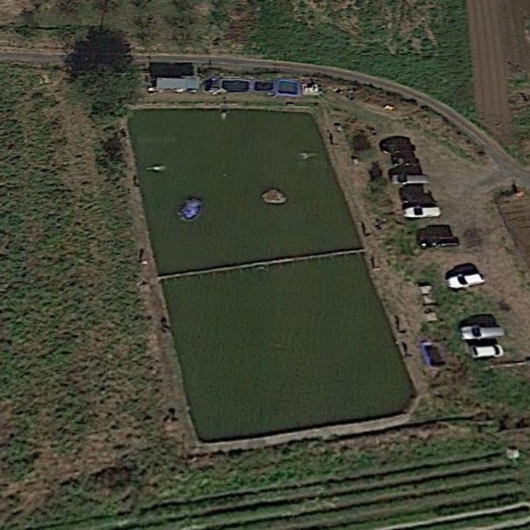 寄居フィッシング