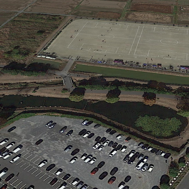 アリーナ釣り池