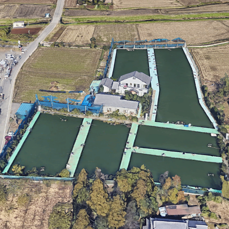 隼人大池へら鮒センター