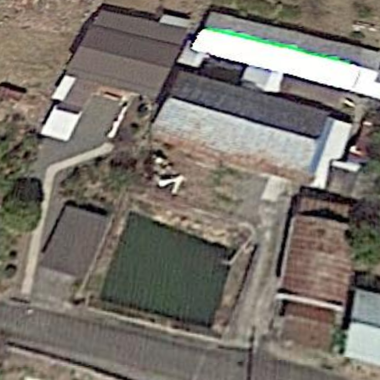 大波見釣堀センターむさし