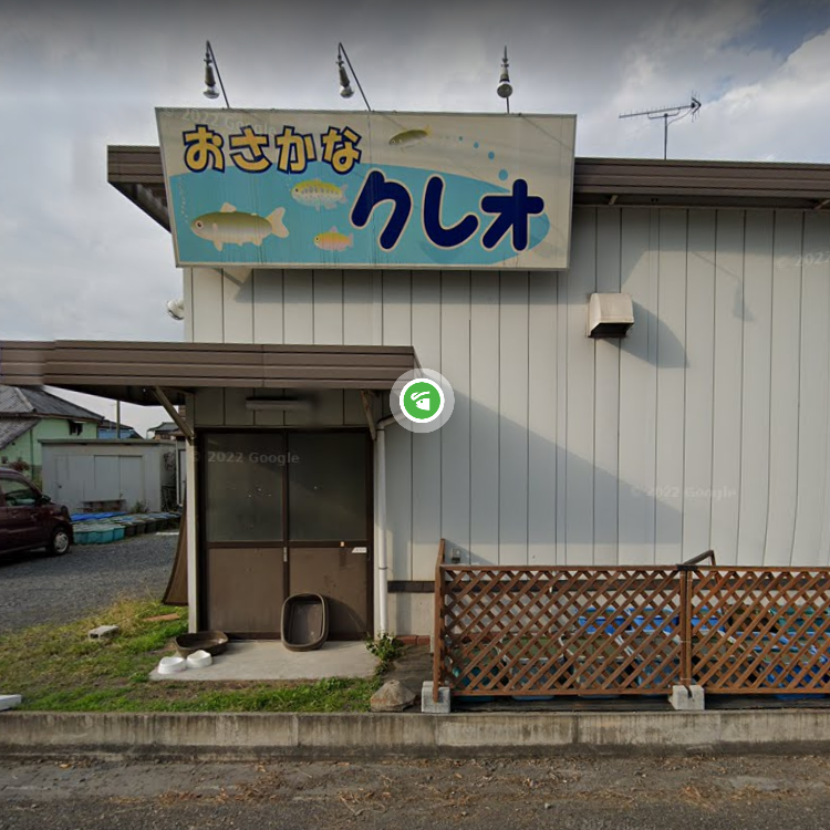 おさかなクレオ