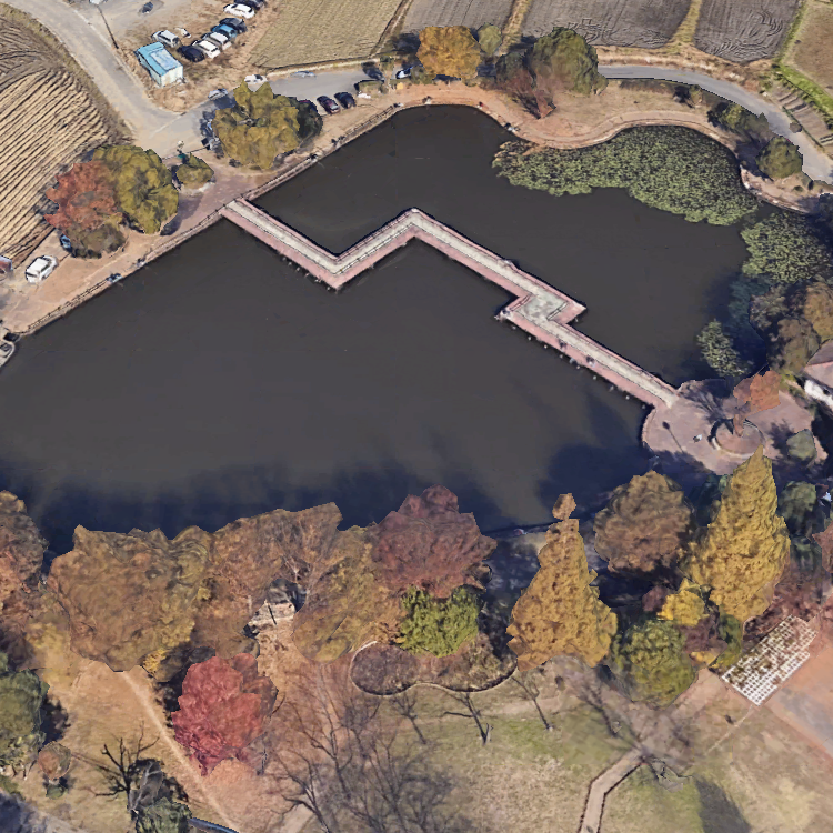 薬師沼親水公園