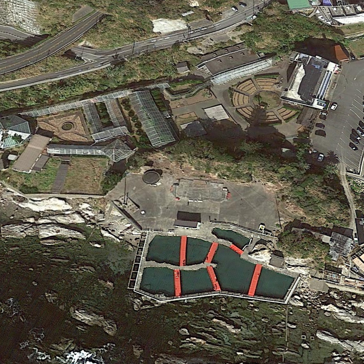 太海フラワー磯釣りセンター