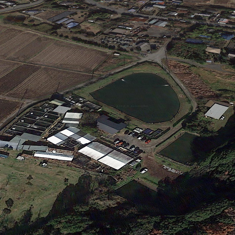 管理釣り場ウォルトンガーデン