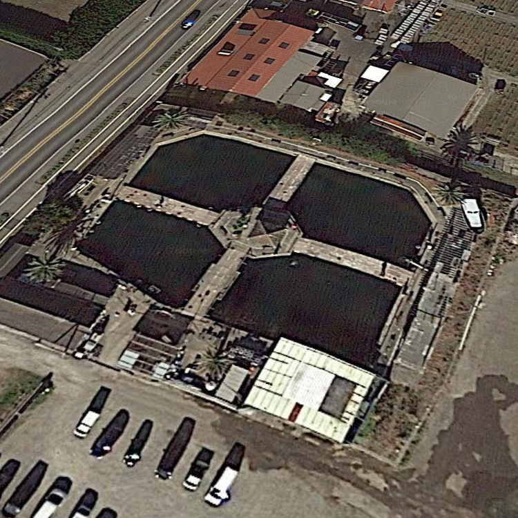 九十九里海釣りセンター