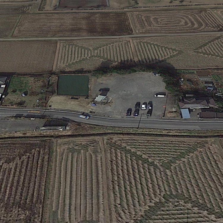 市原園つり堀センター