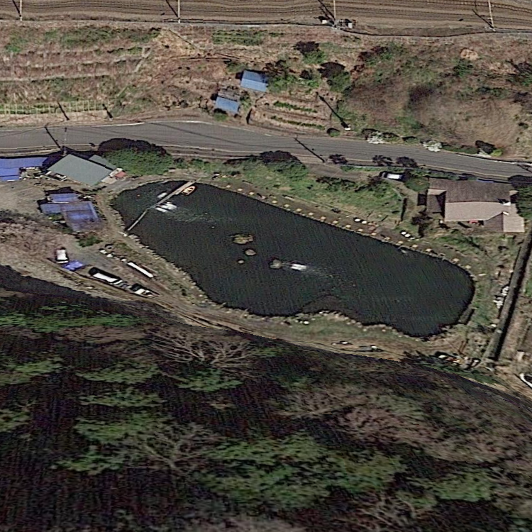 浅川国際マス釣場