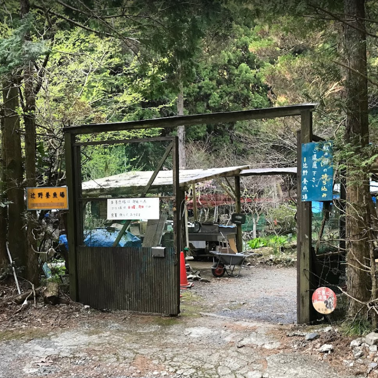 辻野養魚場