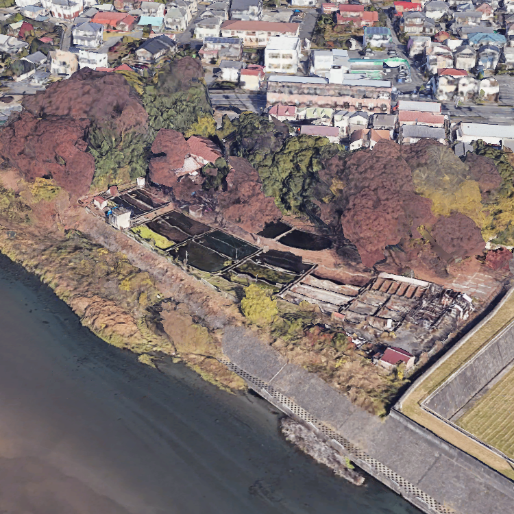 多摩川養殖つり堀場