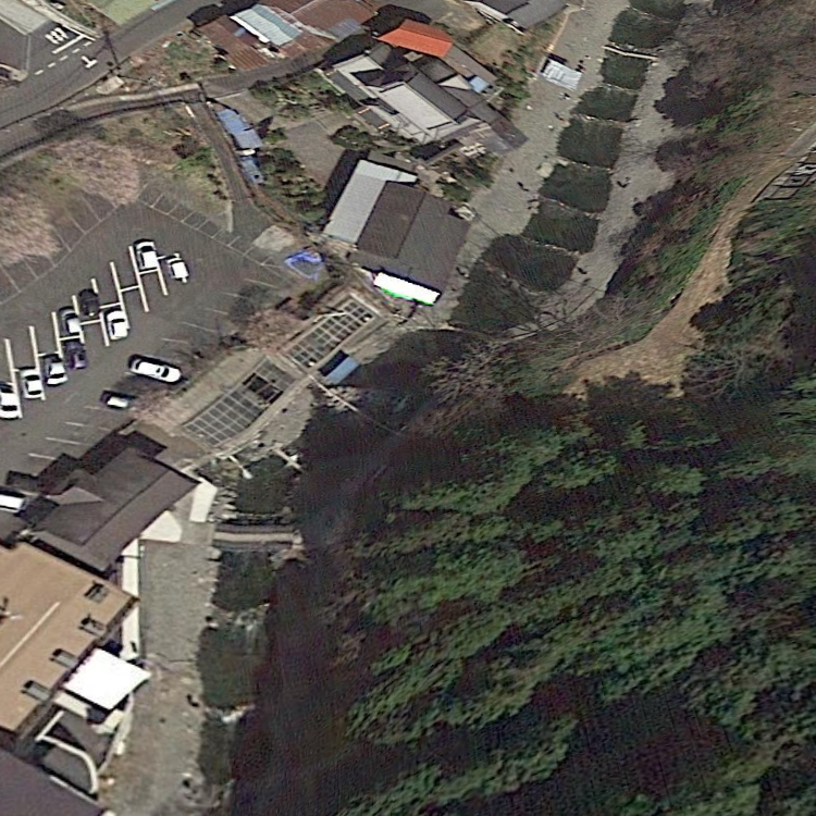 大丹波川国際虹ます釣り場