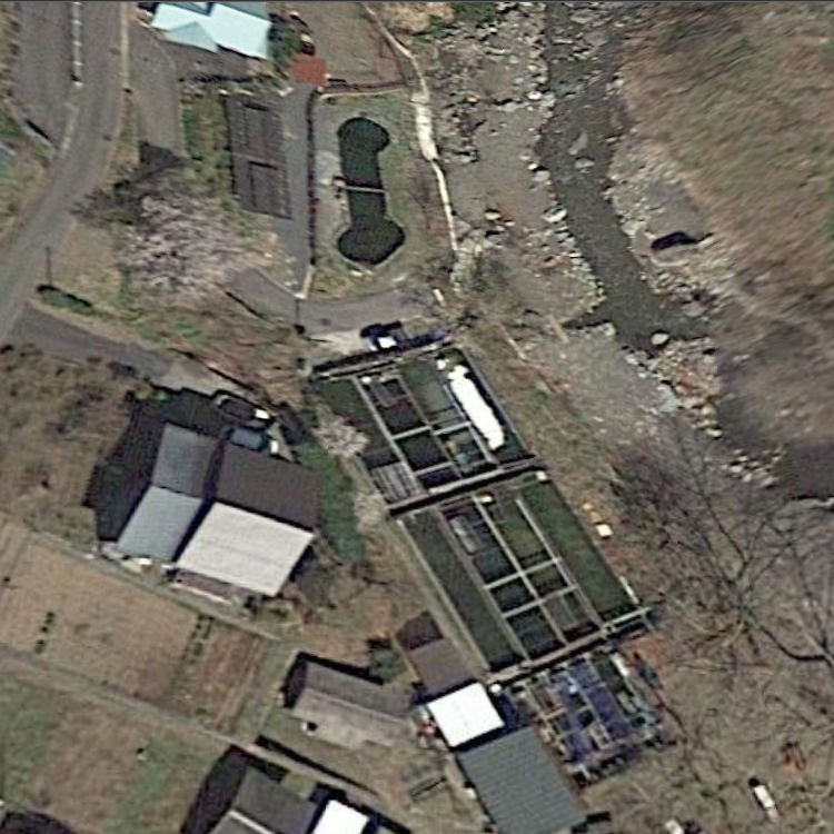 トラウトファーム秋川