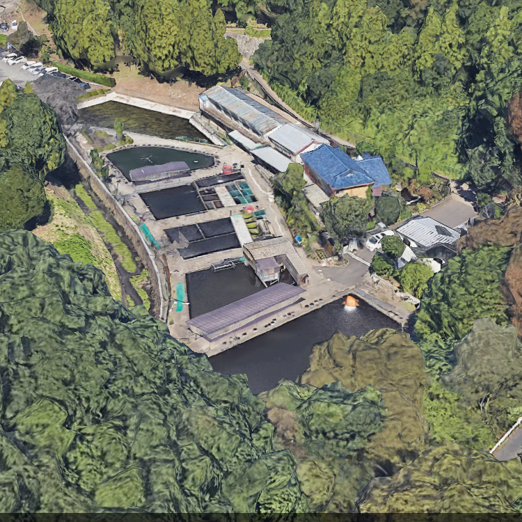 草柳園フィッシングセンター