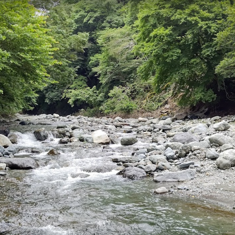 YGLヤドリキスポーツフィッシングエリア