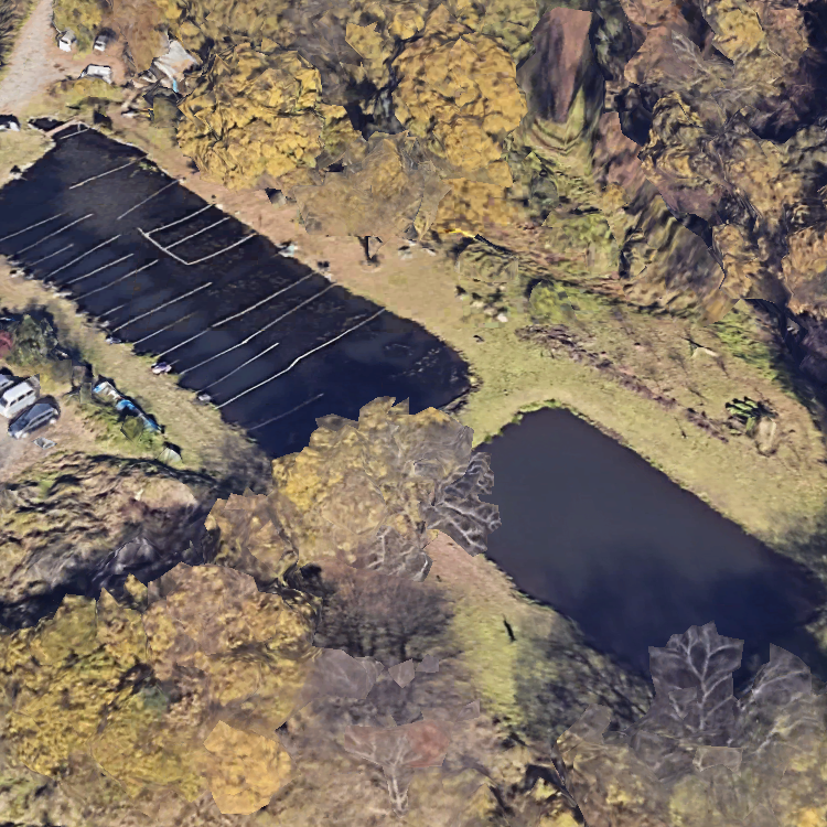 大島ファミリー釣場