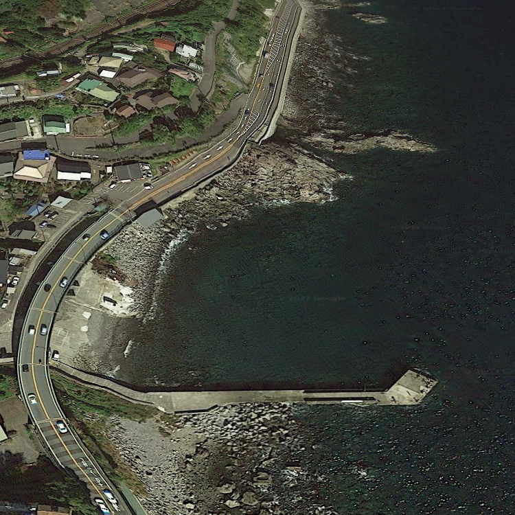 米神大根・小根