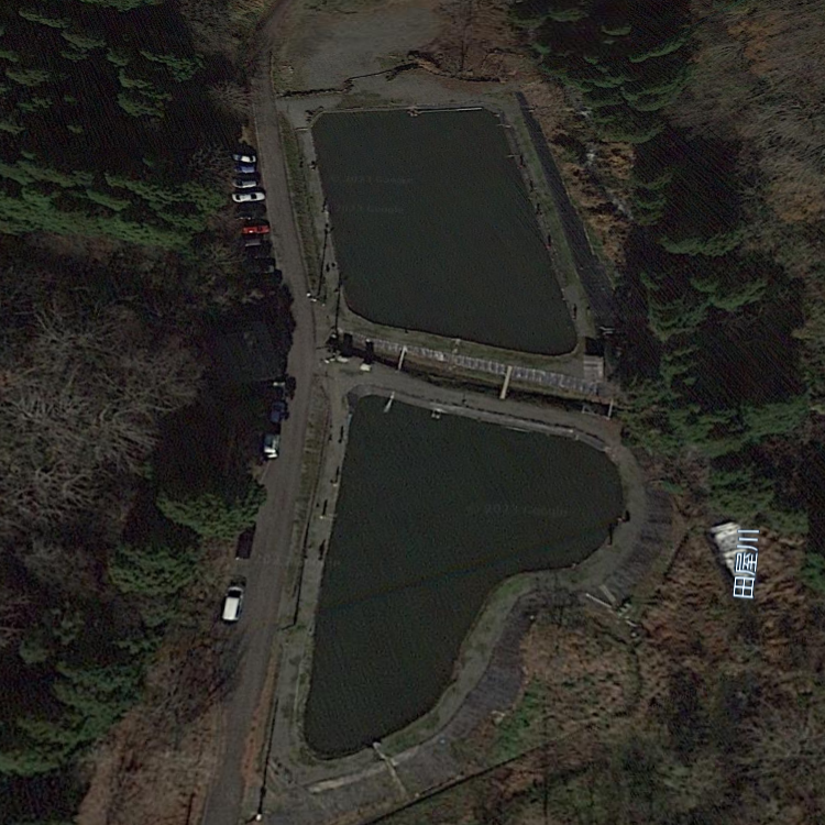 フィッシングスポットパスタイム