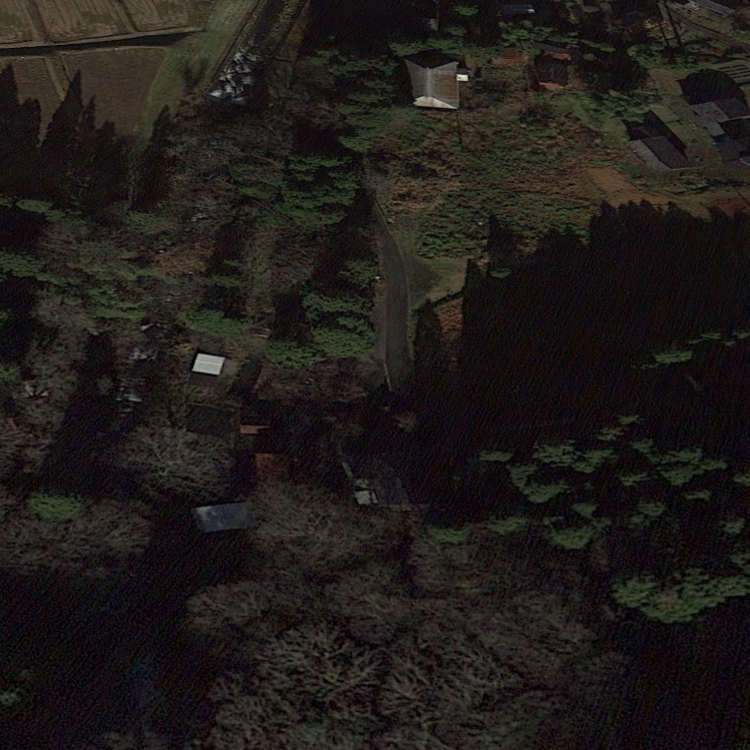 谷根にじます釣堀