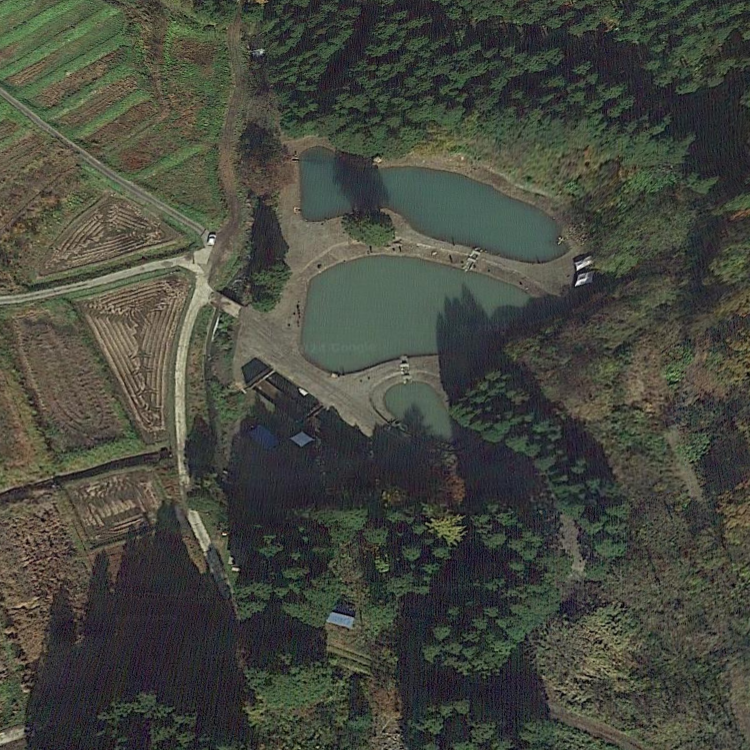 高根トラウトマウンテンズ