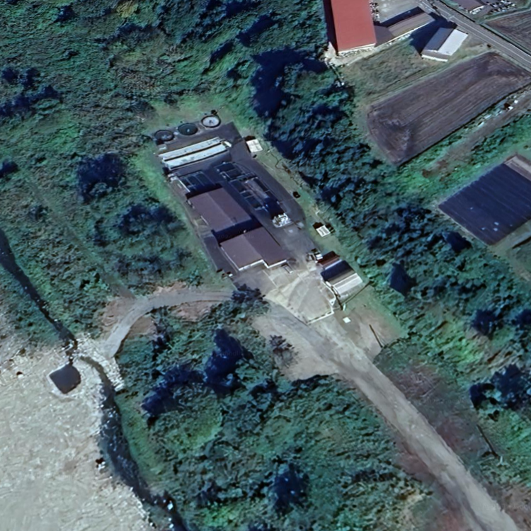 中魚沼(漁協) 釣り堀