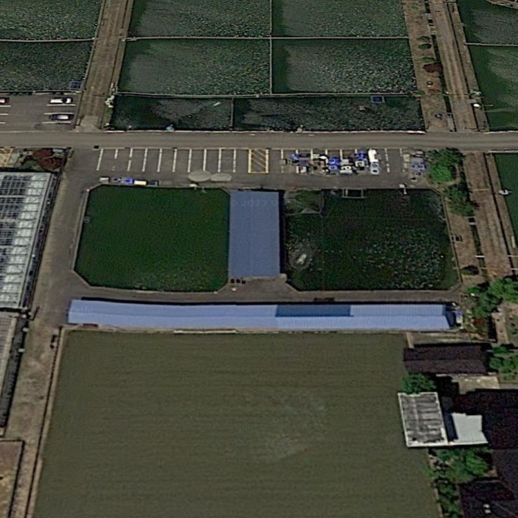 ファミリー釣堀 つりぼり~の 成田養魚園