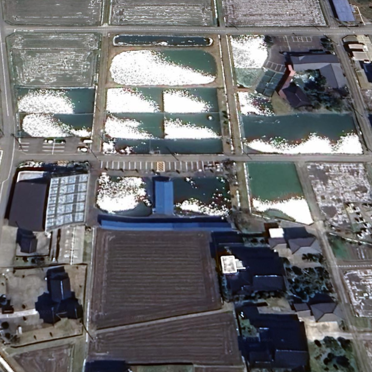 ファミリー釣堀 つりぼり~の 成田養魚園