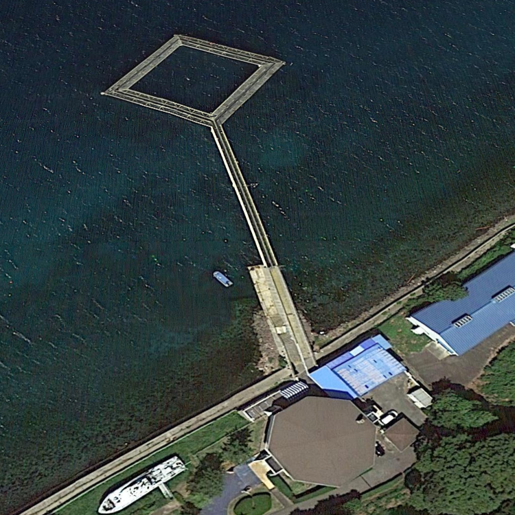 能登島海釣りセンター