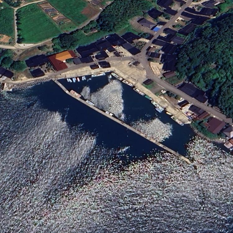 三ヶ浦漁港（通地区）