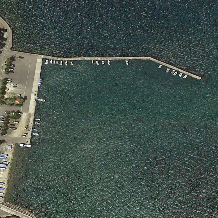 大克丸(イルカウォッチング・釣り筏)