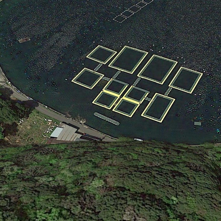 フィッシングランド日向