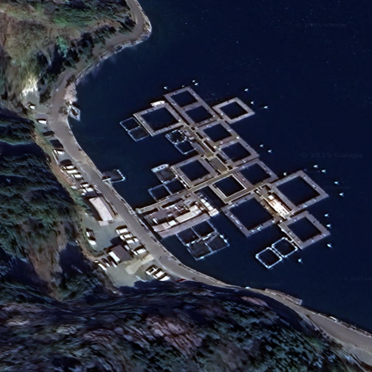 フィッシングレインボー