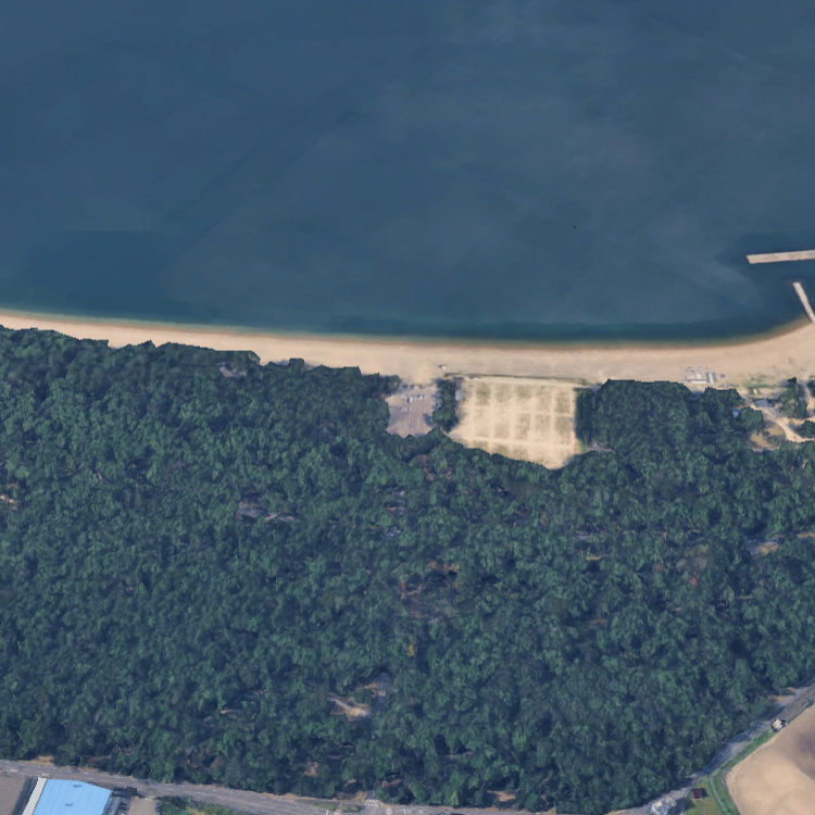 気比の松原(松原公園)