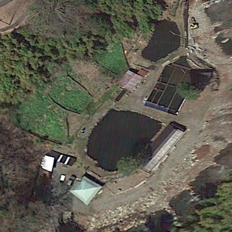 奈良子釣りセンター