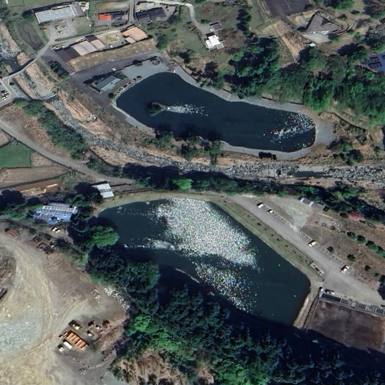 ベリーパーク in FISH ON! 鹿留