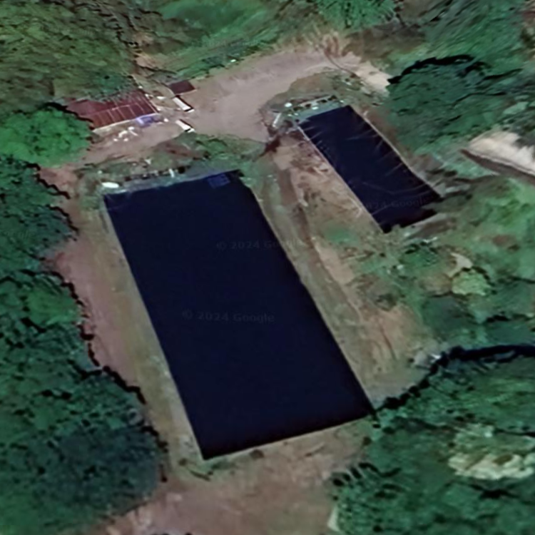 津金フィッシングランド