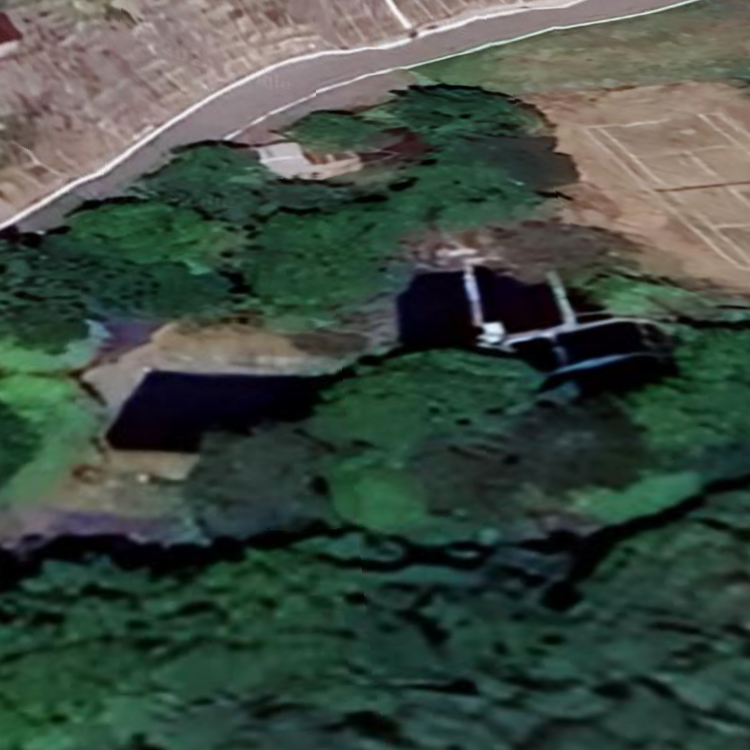 つり堀 増富養魚場