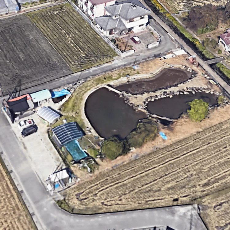 おさかなつりとと