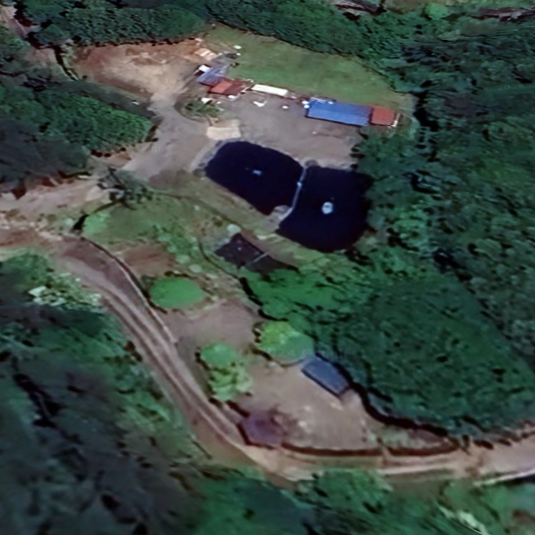 すげのレジャー