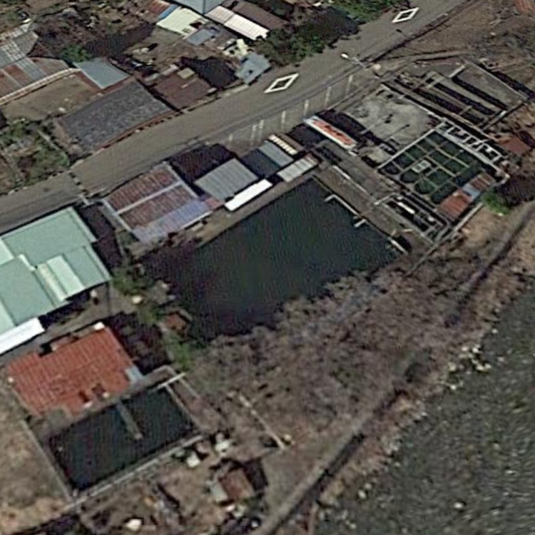 フィッシングセンター坂本屋支店