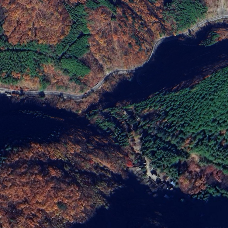 玉川キャンプ村釣り場