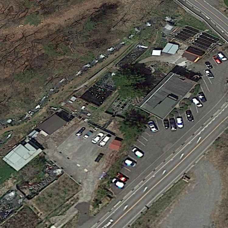 蓼科高原 渓流釣り場 高林養魚場