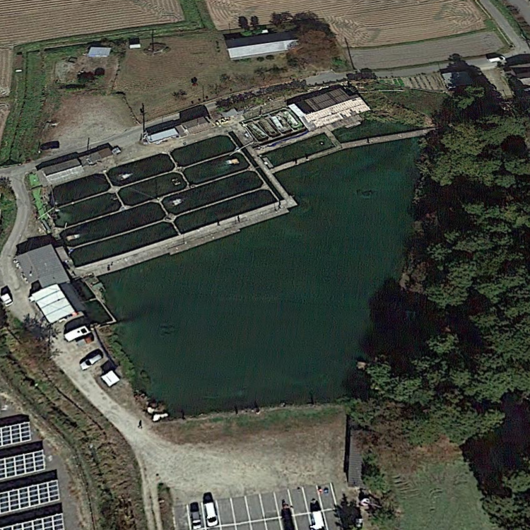 ハーブの里 フィッシングエリア