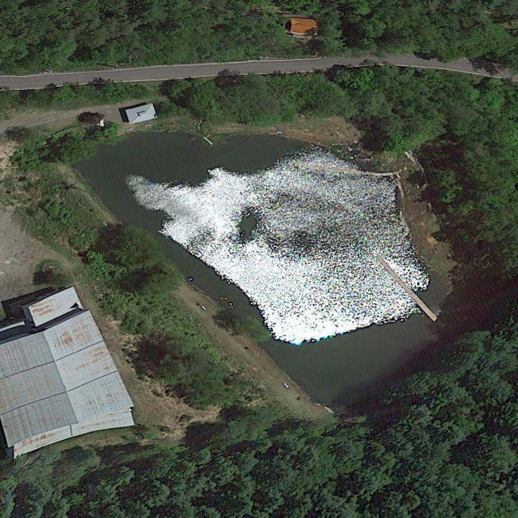 ながわフィッシングエリア