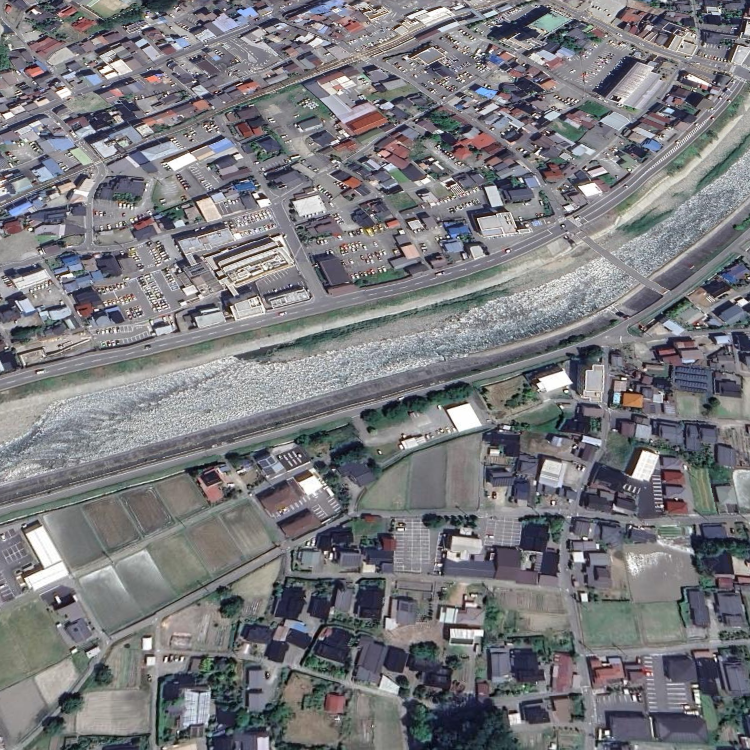 天竜川（漁協）