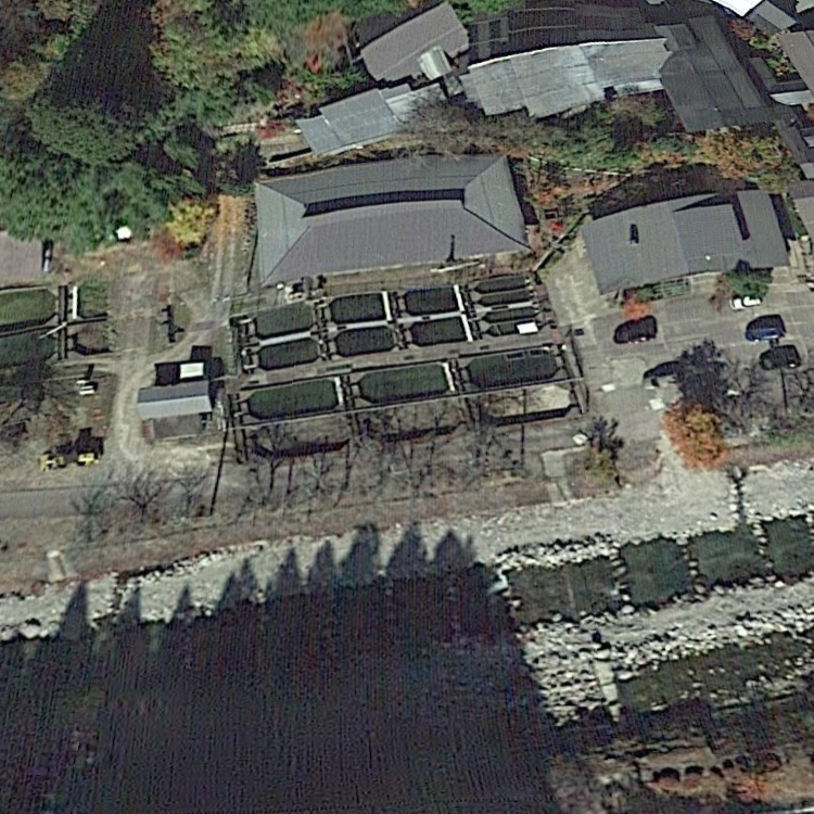 さかなのさと すぎしま