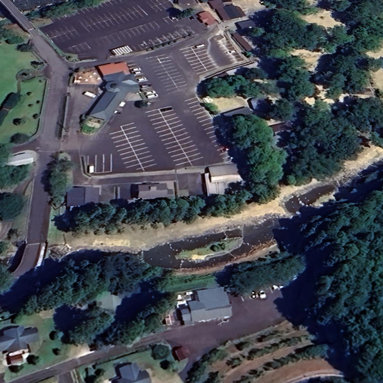 マス釣り（クオーレ）