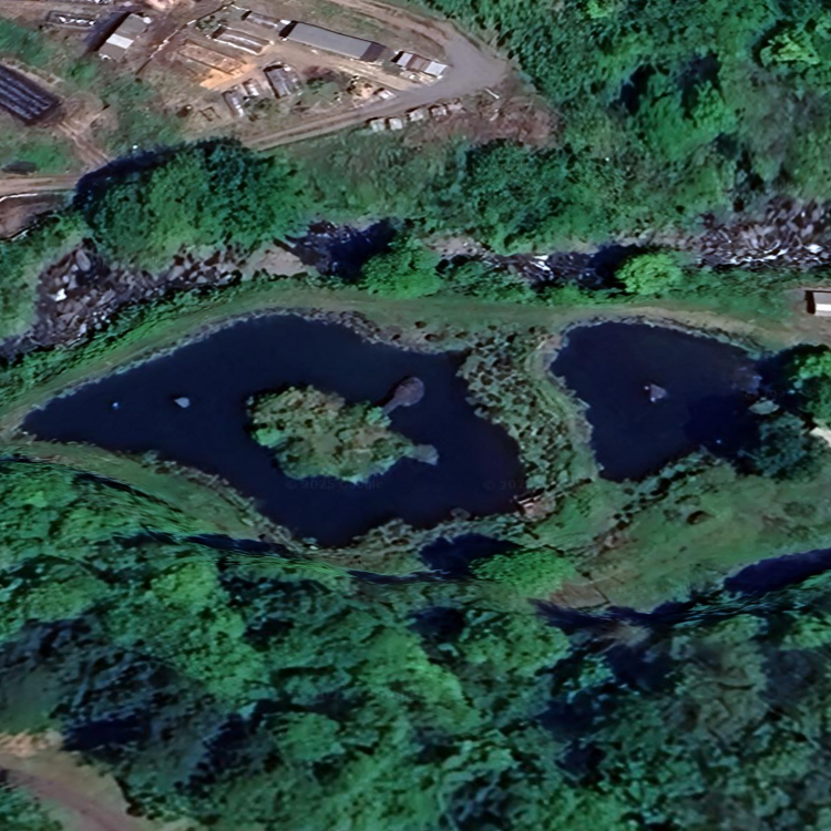 フライフィッシング専用管理釣場くろや