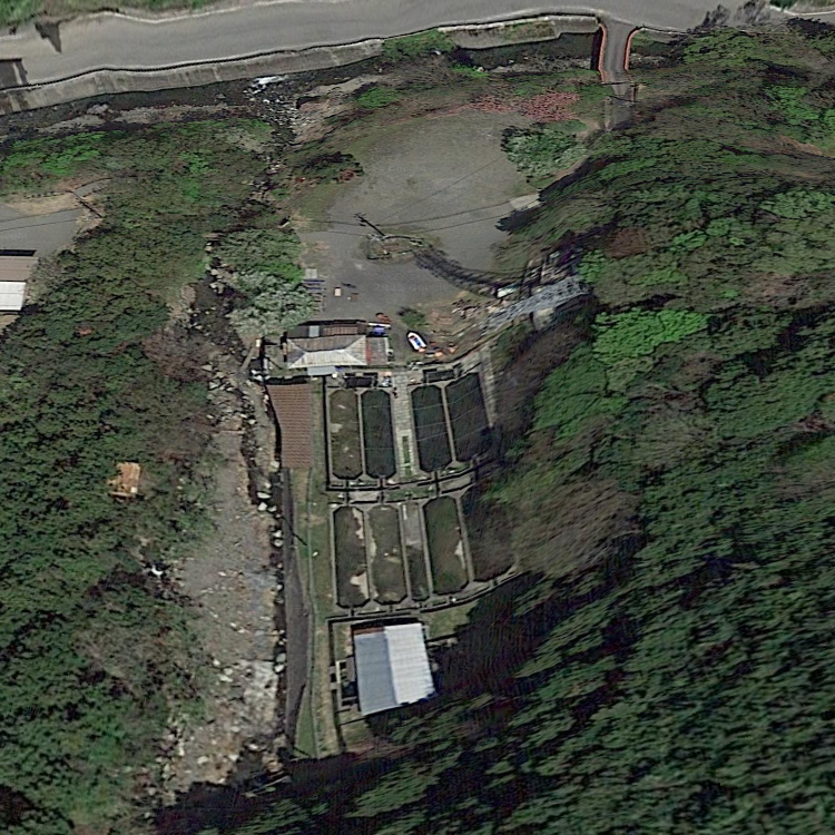 時山養魚場 キャンプ場