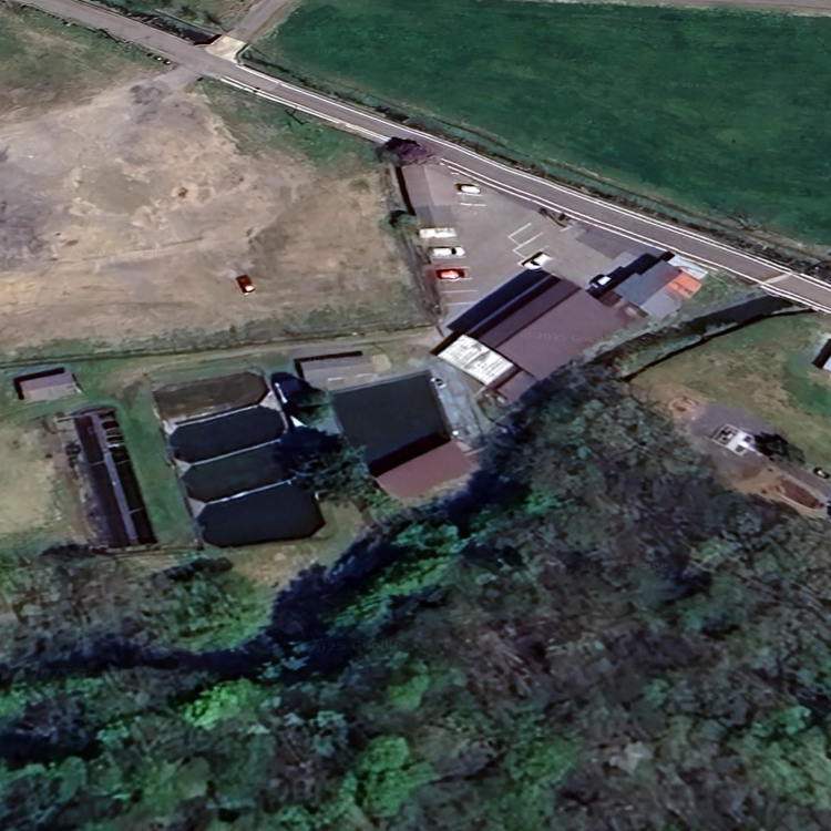 ひるがのマス園